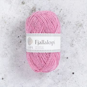 fjallalopi misty rose